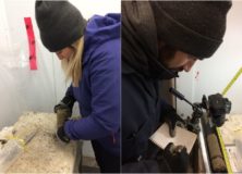Permafrost cores analysis in the lab (Michel Paquette)