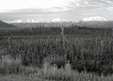 Yukon – Ecological gradation (Michel Sliger)